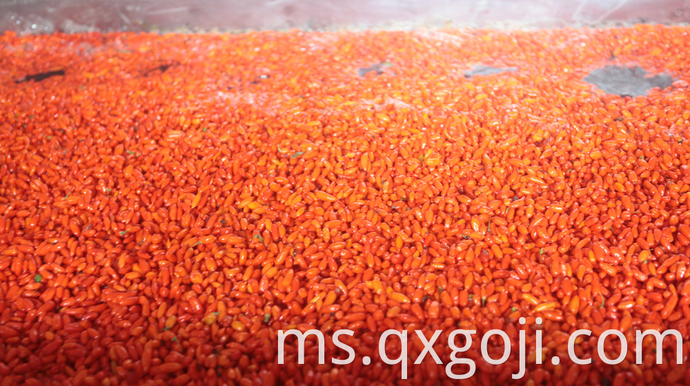 Red Organic Goji Berry